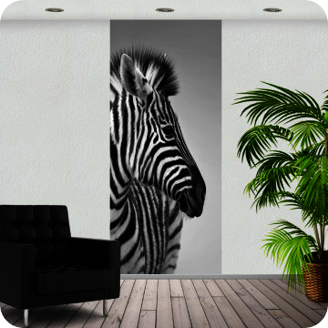 Fotoprints | Fotoprint Zebra