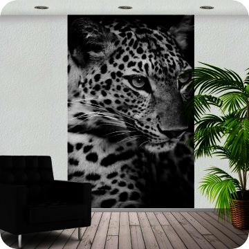 Fotoprints | Fotoprint Leopard