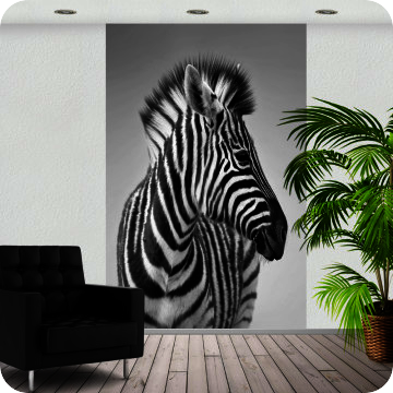 Fotoprints | Fotoprint Zebra
