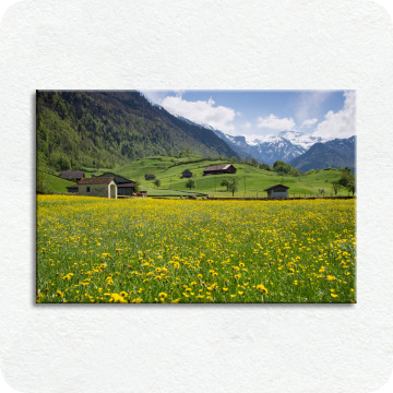 Leinwand-Bilder | Leinwandbild Glarner Frühlingswiese