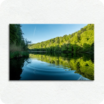 Leinwand-Bilder | Leinwandbild Waldsee