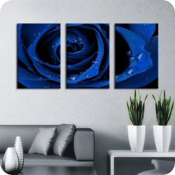 Leinwand-Bilder | Leinwandbild blue rose