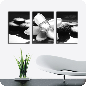 Leinwand-Bilder | Leinwandbild white orchid