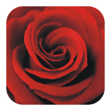 Rutsch-Stop | Anti Rutsch Sticker rote Rose