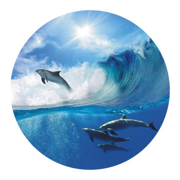 Rutsch-Stop | Anti Rutsch Sticker Delfine
