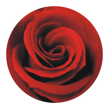 Rutsch-Stop | Anti Rutsch Sticker rote Rose
