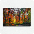 Leinwandbild Herbstwald - Bild 1