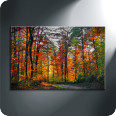 Leinwandbild Herbstwald - Bild 3