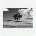 Leinwand-Bilder | Leinwandbild Wolkenfeld