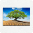 Leinwandbild Wüstenbaum - Bild 1