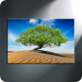 Leinwandbild Wüstenbaum - Bild 3