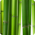 Leinwandbild bamboo wall - Bild 3