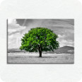 Leinwandbild grüner Baum - Bild 1
