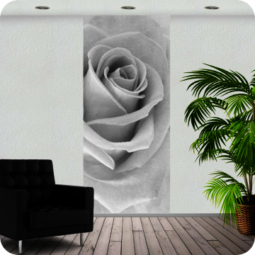 Fotoprints | Fotoprint weisse Rose