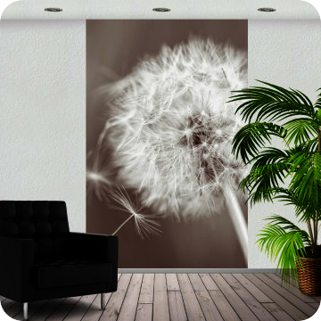 Bild zu Fotoprint Pusteblume