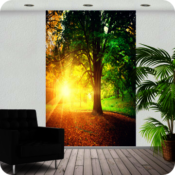 Bild zu Fotoprint im Park