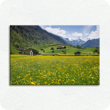 Bild zu Leinwandbild Glarner Frühlingswiese