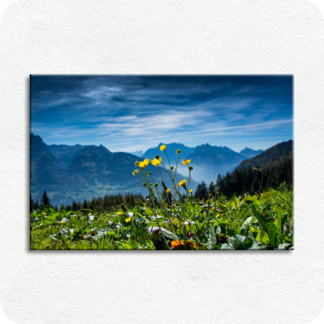 Bild zu Leinwandbild Heidiland