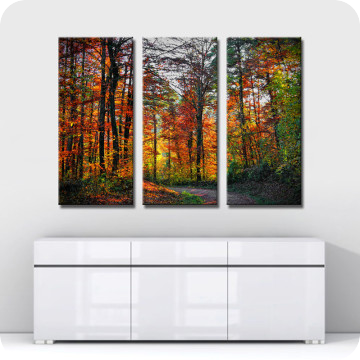 Bild zu Leinwandbild Herbstwald