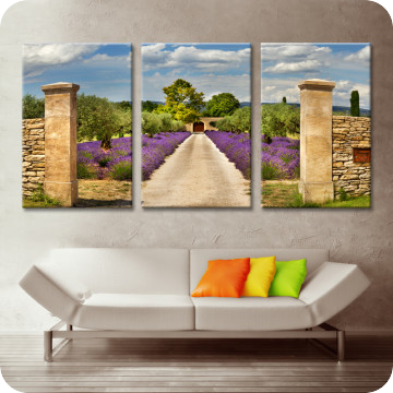 Bild zu Leinwandbild Lavendelgarten