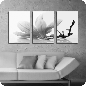 Bild zu Leinwandbild Magnolia No.2