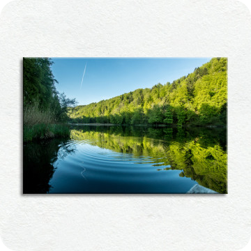 Bild zu Leinwandbild Waldsee