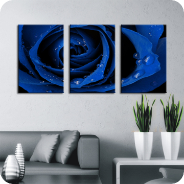Bild zu Leinwandbild blue rose