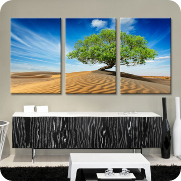 Bild zu Leinwandbild desert tree