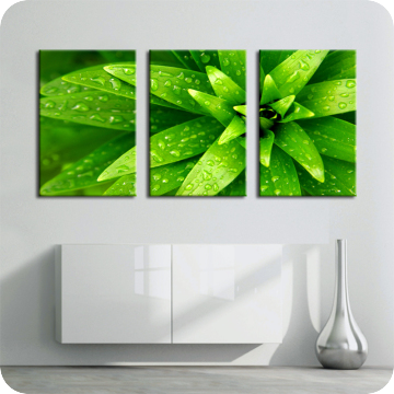 Bild zu Leinwandbild fresh green