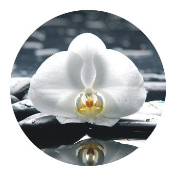 Rutsch-Stop | Anti Rutsch Sticker Orchidee