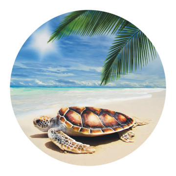 Rutsch-Stop | Anti Rutsch Sticker Schildkröte