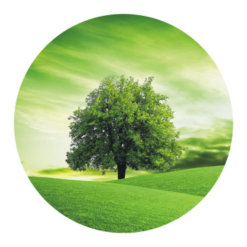 Rutsch-Stop | Anti Rutsch Sticker grüner Baum