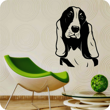 Bild zu Wandtattoo Basset Hound