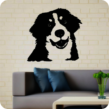 Bild zu Wandtattoo Berner Sennenhund