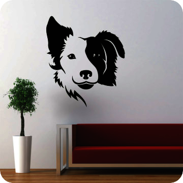 Bild zu Wandtattoo Border Collie