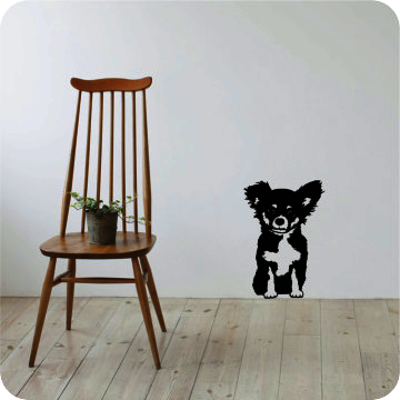 Bild zu Wandtattoo Chihuahua