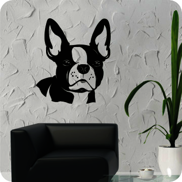 Bild zu Wandtattoo French Bulldog