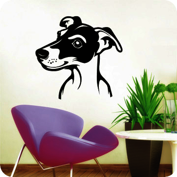 Bild zu Wandtattoo Jack Russel Terrier