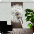 Fotoprints | Fotoprint Pusteblume