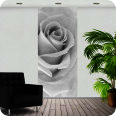 Fotoprints | Fotoprint weisse Rose