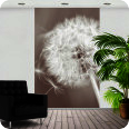 Fotoprints | Fotoprint Pusteblume