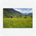 Leinwandbild Glarner Frühlingswiese - Bild 1