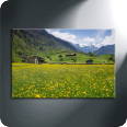 Leinwandbild Glarner Frühlingswiese - Bild 3