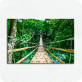 Leinwandbild Hängebrücke - Bild 1