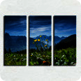 Leinwandbild Heidiland - Bild 3