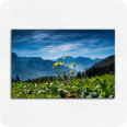 Leinwandbild Heidiland - Bild 1