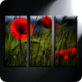 Leinwandbild Mohnblumen - Bild 2
