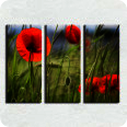 Leinwandbild Mohnblumen - Bild 3