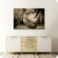 Leinwandbild Nashorn im Zürizoo - Bild 2