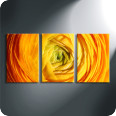 Leinwandbild Ranunculus - Bild 2